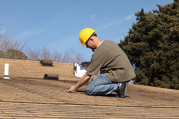 Best Siding  in , VA